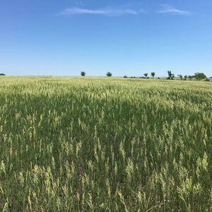 Meet your Posher, Jimmy